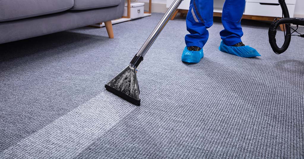 Deep carpet cleaning by Elite Detailed cleaning professional.