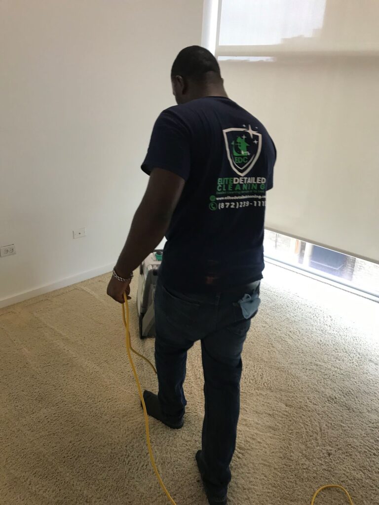 A professional cleaner cleaning a carpet